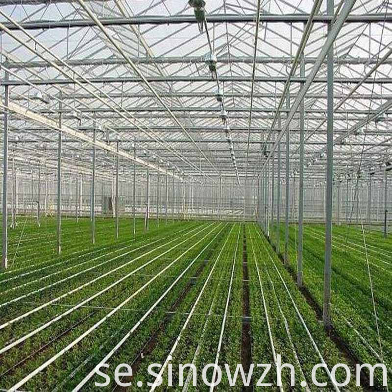 Prefabricerade Green House Prefab Green House
